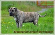 Publication : du hameau de fontenay