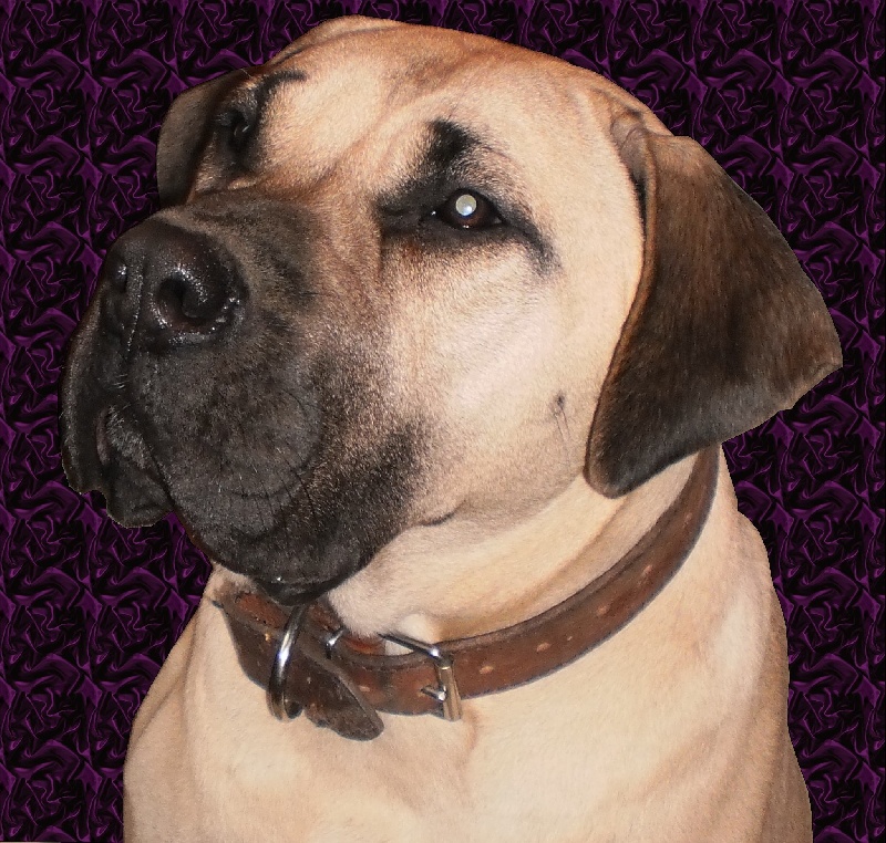 Publication : du hameau de fontenay