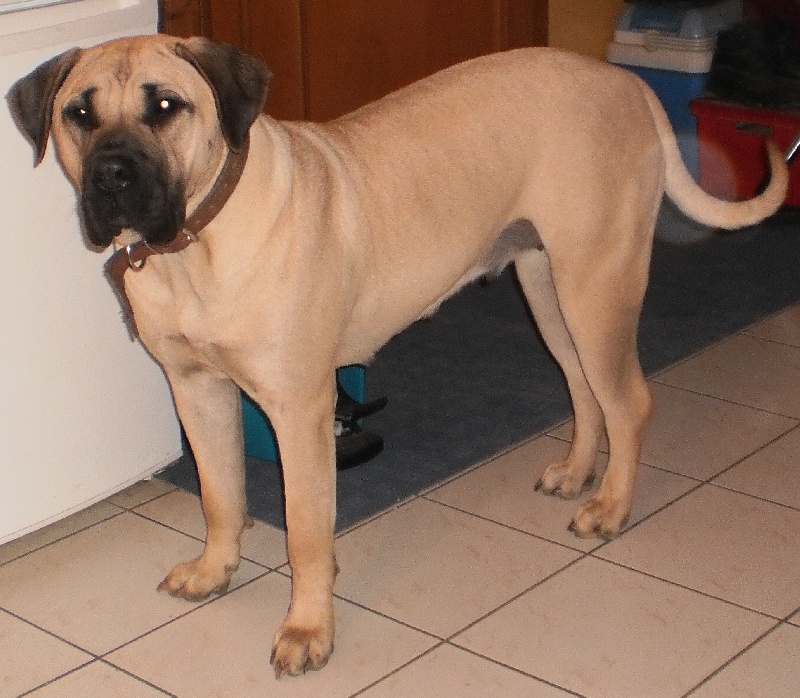 Publication : du hameau de fontenay