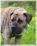 Publication : du hameau de fontenay