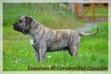 Publication : du hameau de fontenay