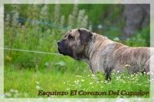 Publication : du hameau de fontenay