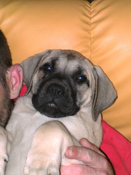 Publication : du hameau de fontenay