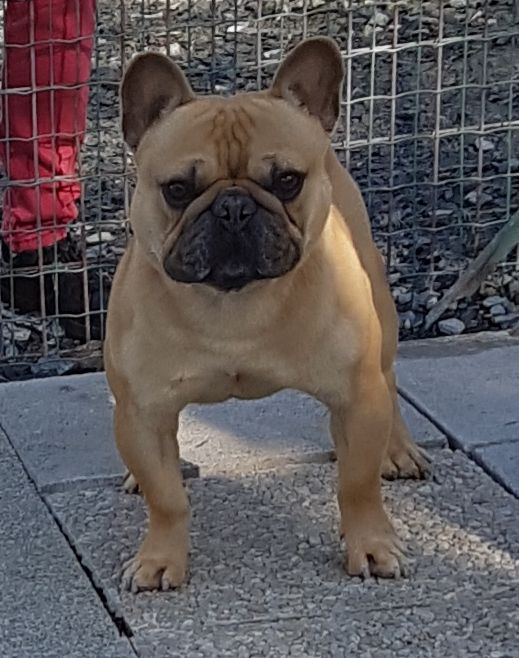 Publication : du hameau de fontenay