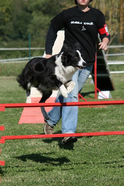 Uchane (Sans Affixe) - 1er partie de Brevet