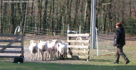 Uchane (Sans Affixe) - Niveau I 2ème / 7