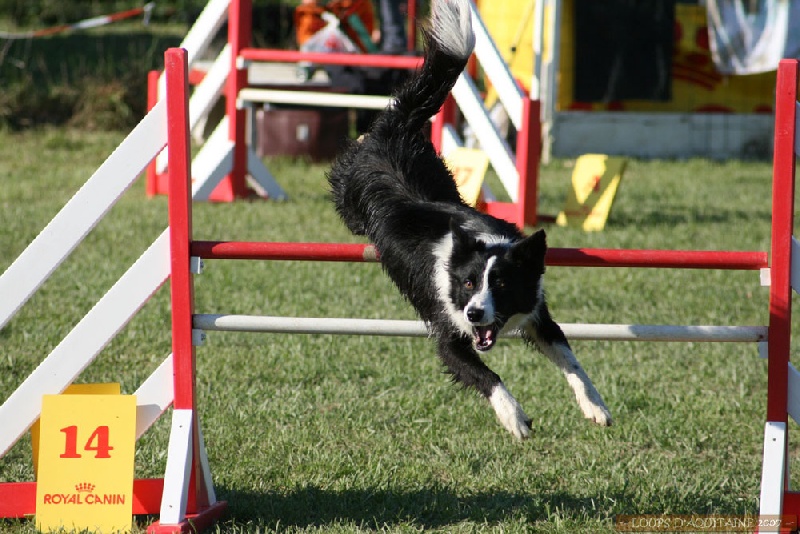 Uchane (Sans Affixe) - 3ème partie de Brevet