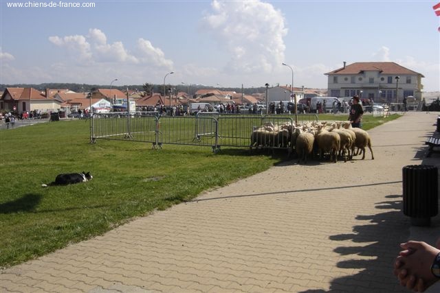 Uchane (Sans Affixe) - ras