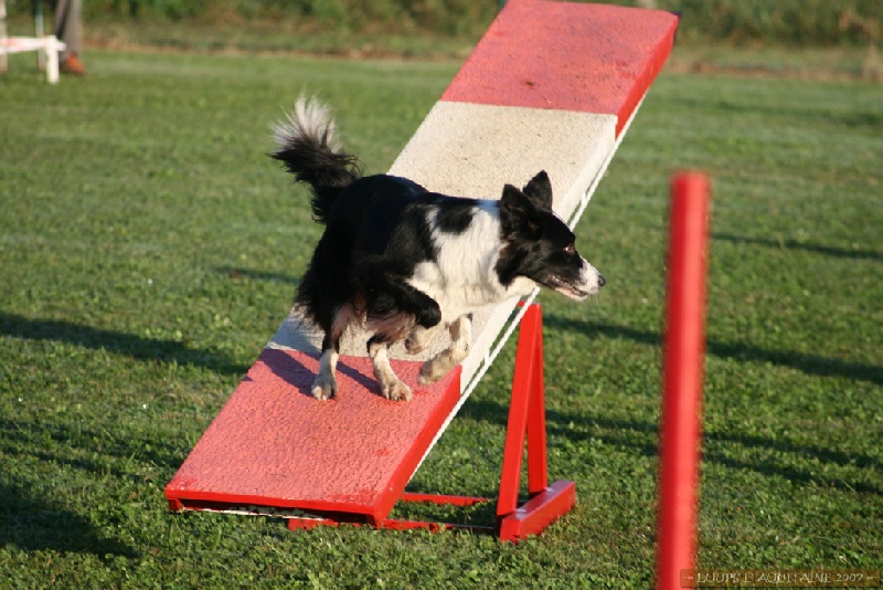 Uchane (Sans Affixe) - 2ème partie de Brevet