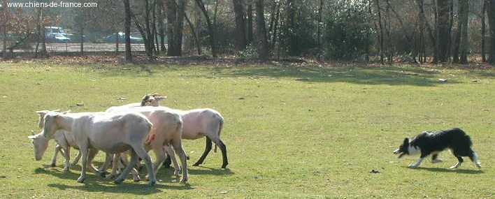 Uchane (Sans Affixe) - Niveau I 1ère / 8