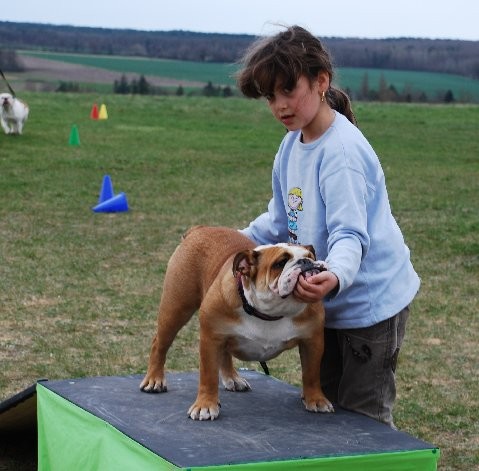 Constance des Carco's Bulls
