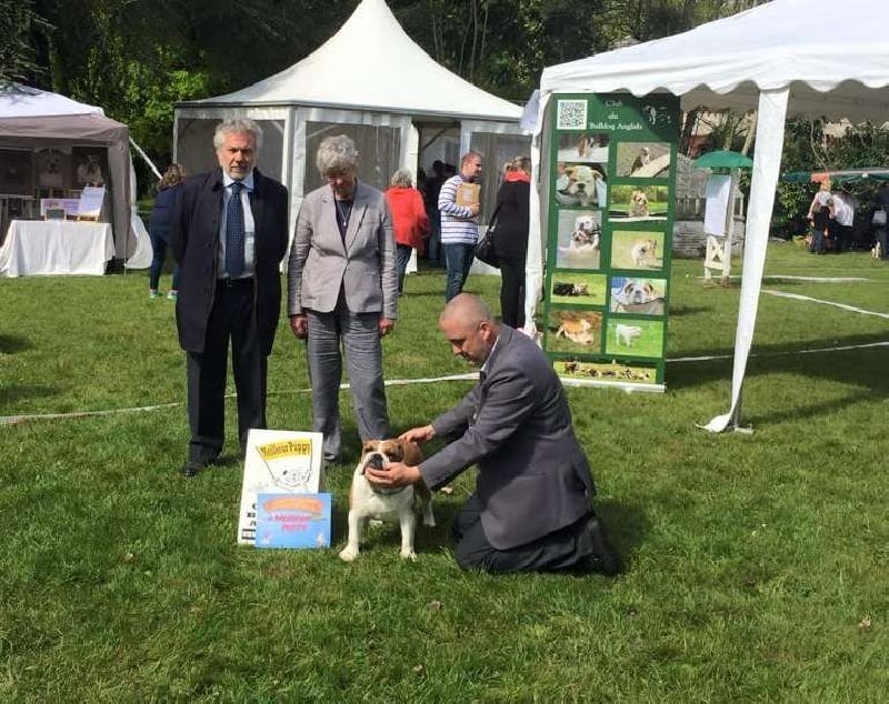 Jorgette des terres d' utahia - 1 ère très Prometteur Best Puppy in Show