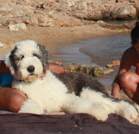 Publication : OF REALITY DREAM