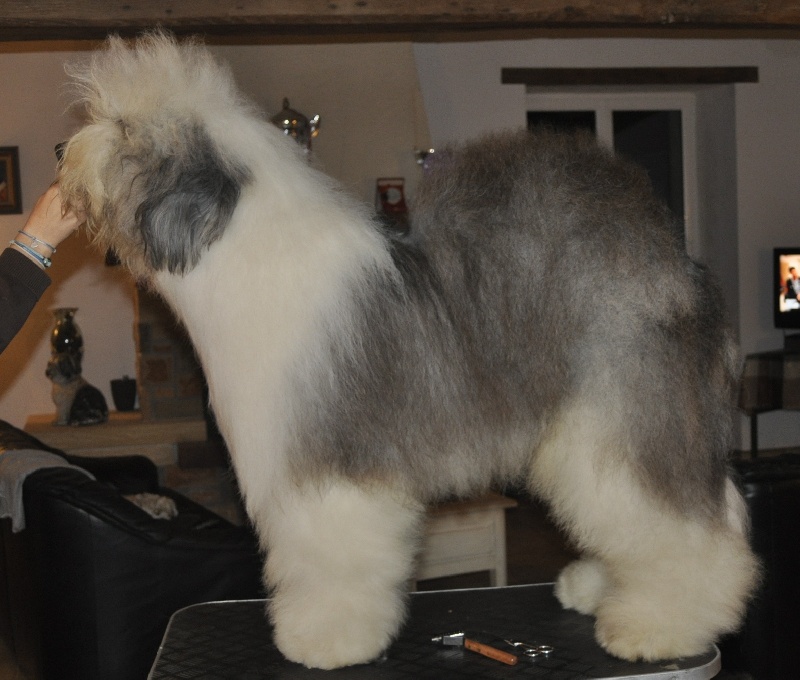 Publication : OF REALITY DREAM