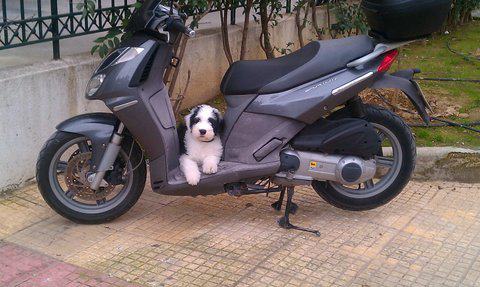 Publication : OF REALITY DREAM