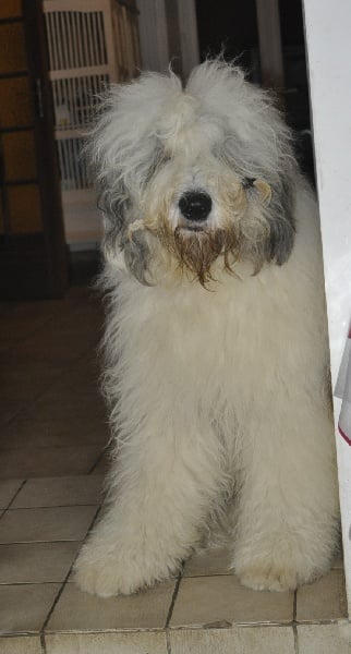 Publication : OF REALITY DREAM