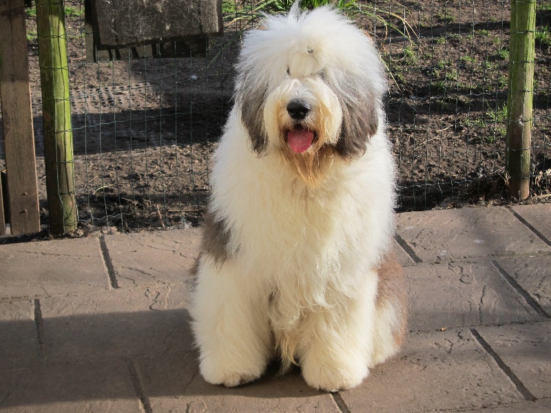 Publication : OF REALITY DREAM