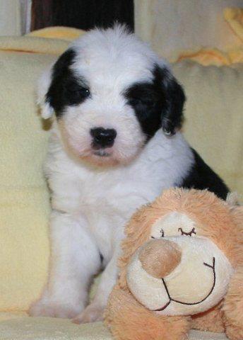 Publication : OF REALITY DREAM