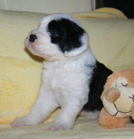 Publication : OF REALITY DREAM