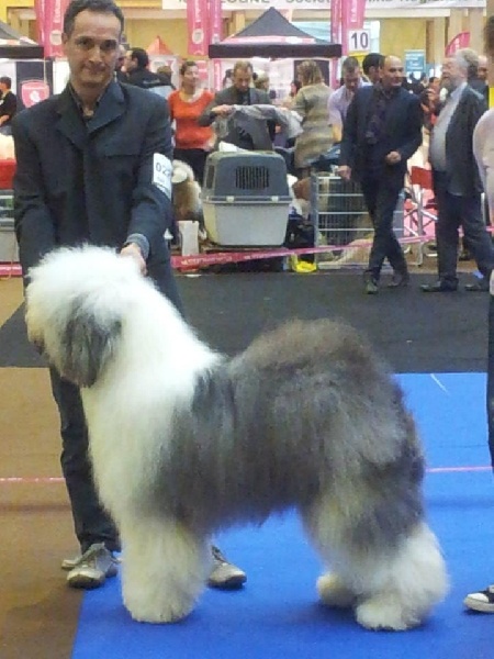 Publication : OF REALITY DREAM