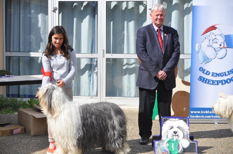 CH. zeppeline Bohèmian rapsody - 1ere Exc Classe Veteran - Meilleure veteran