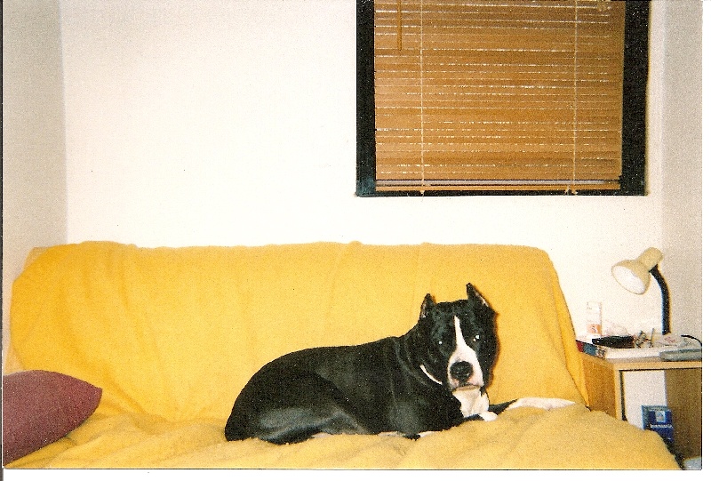 Publication : of Royal Dreamstaff