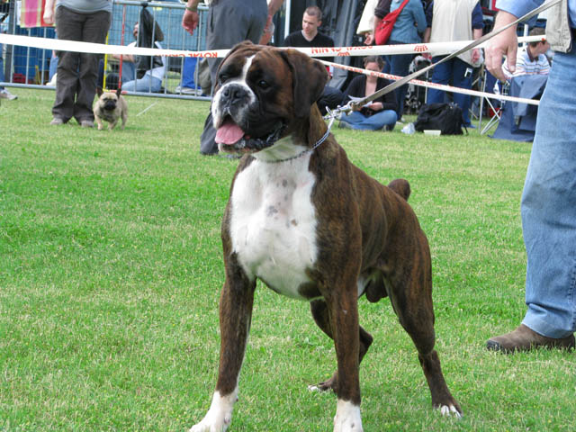 Publication : de La Brèche aux Railes