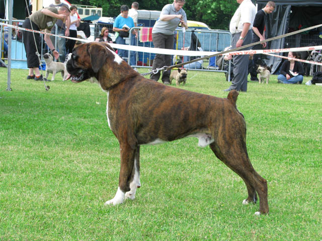 Publication : de La Brèche aux Railes