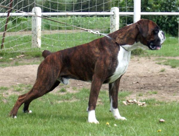 Publication : de La Brèche aux Railes