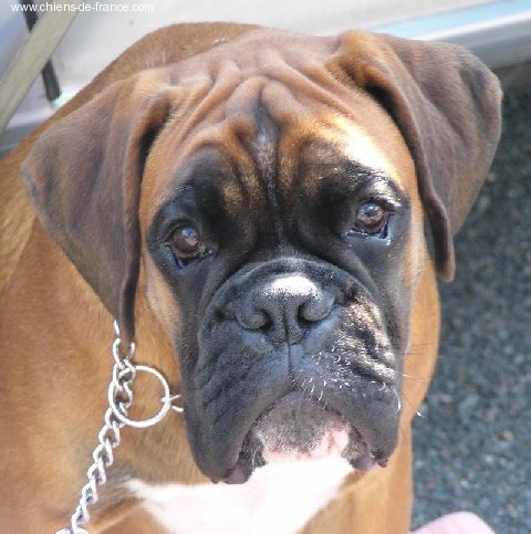 Publication : de La Brèche aux Railes