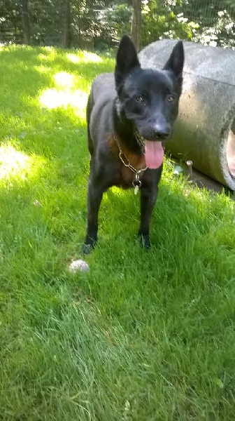 Publication : de la Dynastie des Sages