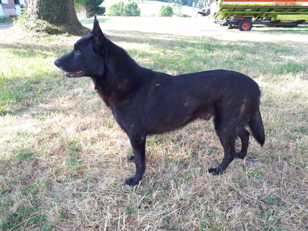 Publication : de la Dynastie des Sages