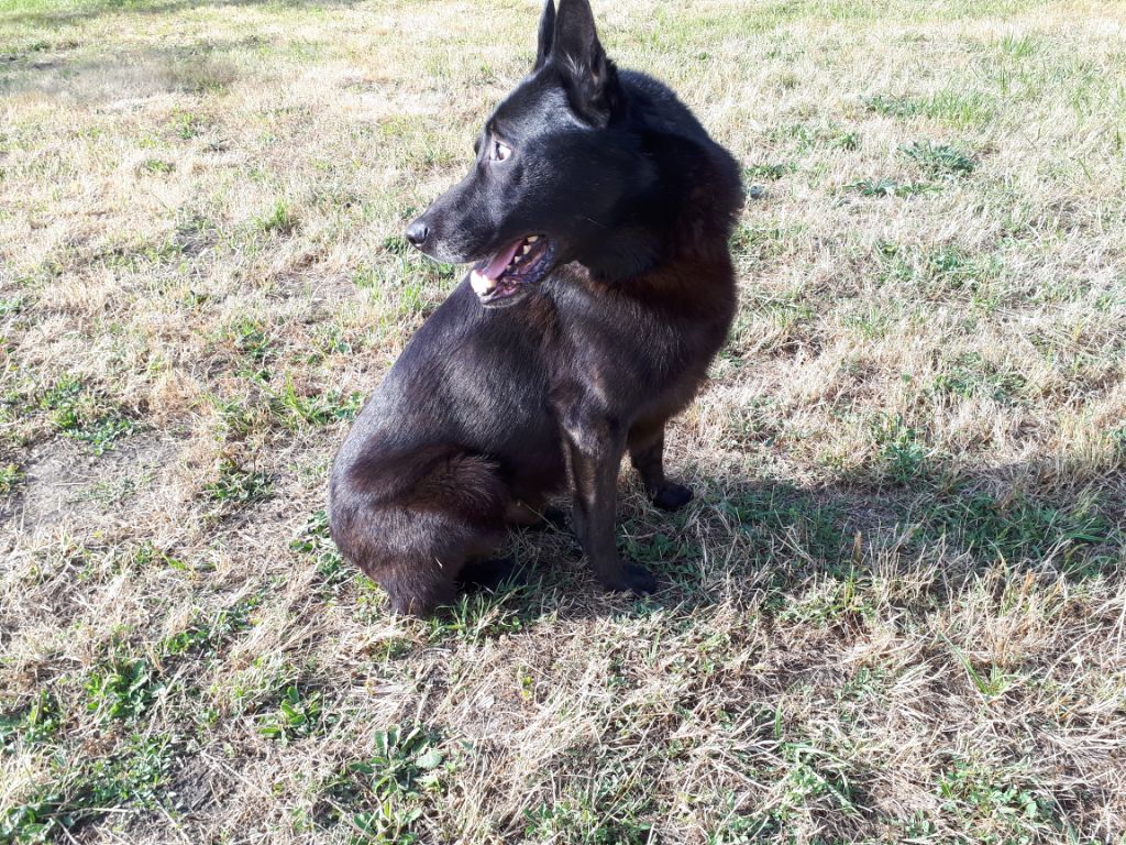 Publication : de la Dynastie des Sages