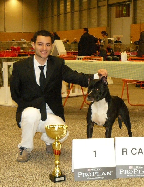 CH. Cyno girl du Palais Des Anges - 1ère exc, Rcacs, Rcacib