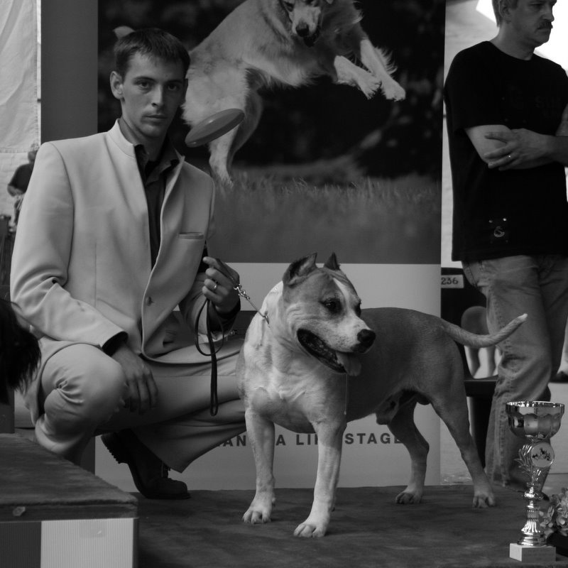 Skunk (Sans Affixe) - 1 exc meilleur veteran