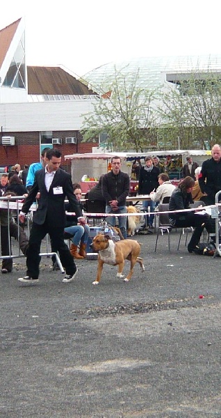 castle rock Red jacket for sbigstaff - 5 exc