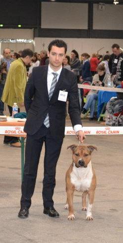 castle rock Red jacket for sbigstaff - 2ème, Classe Ouverte