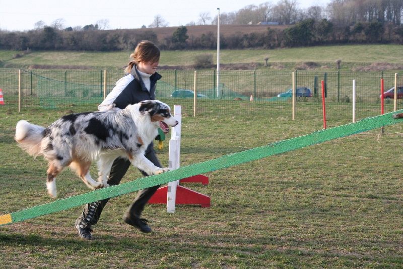 Diamond blue des Caps et Marais d'Opale