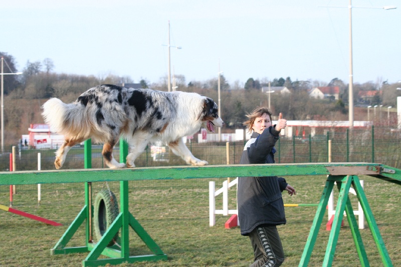 Diamond blue des Caps et Marais d'Opale