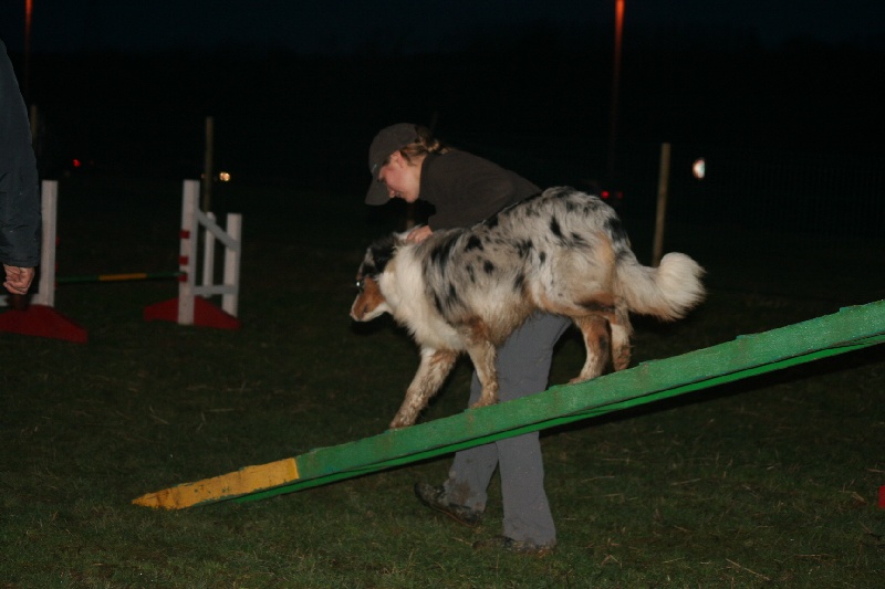 Diamond blue des Caps et Marais d'Opale
