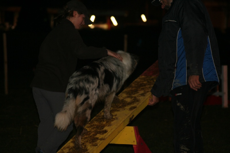 Diamond blue des Caps et Marais d'Opale