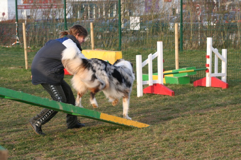 Diamond blue des Caps et Marais d'Opale