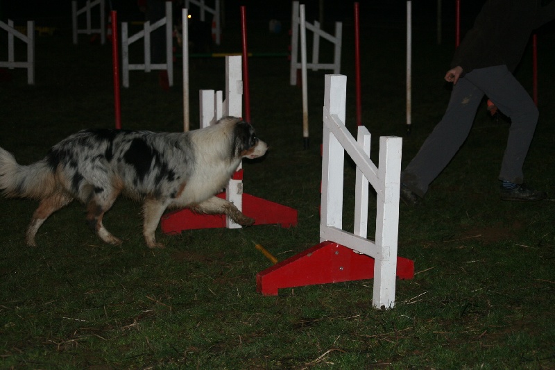 Diamond blue des Caps et Marais d'Opale