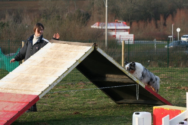 Diamond blue des Caps et Marais d'Opale