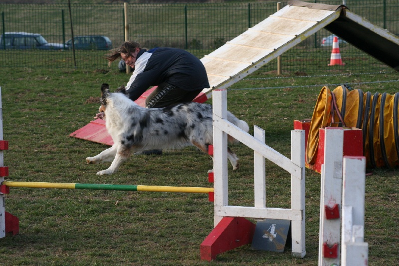 Diamond blue des Caps et Marais d'Opale