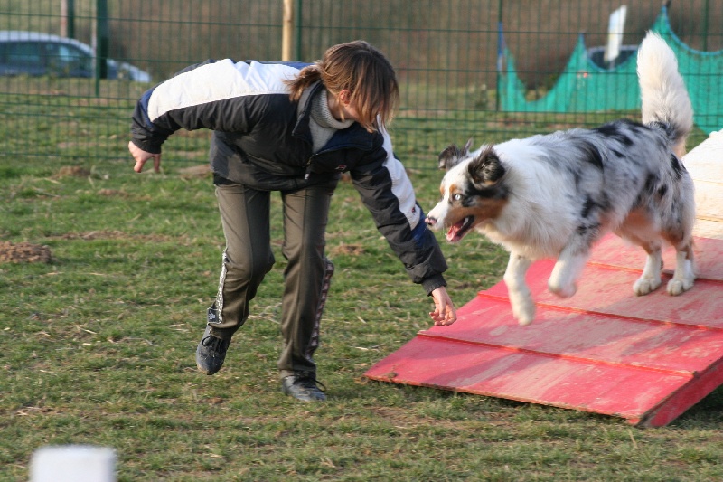 Diamond blue des Caps et Marais d'Opale