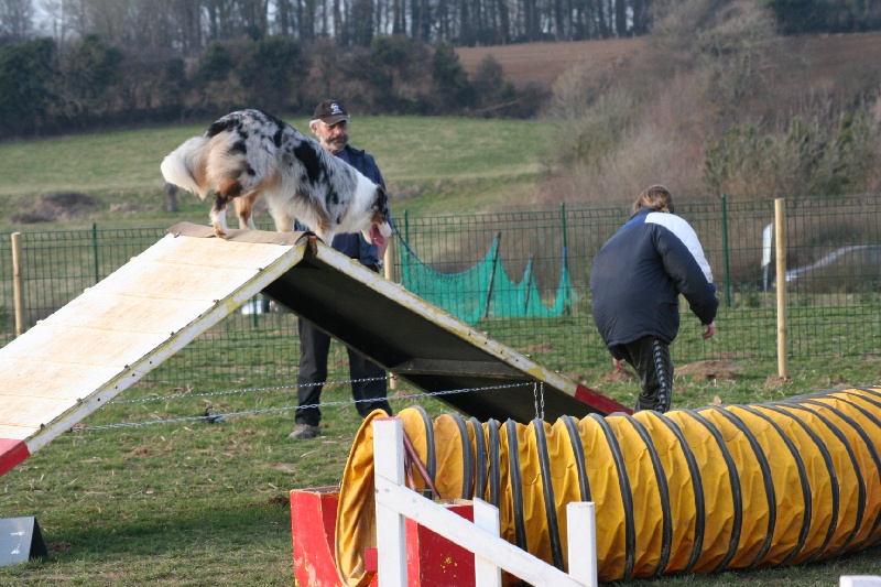 Diamond blue des Caps et Marais d'Opale