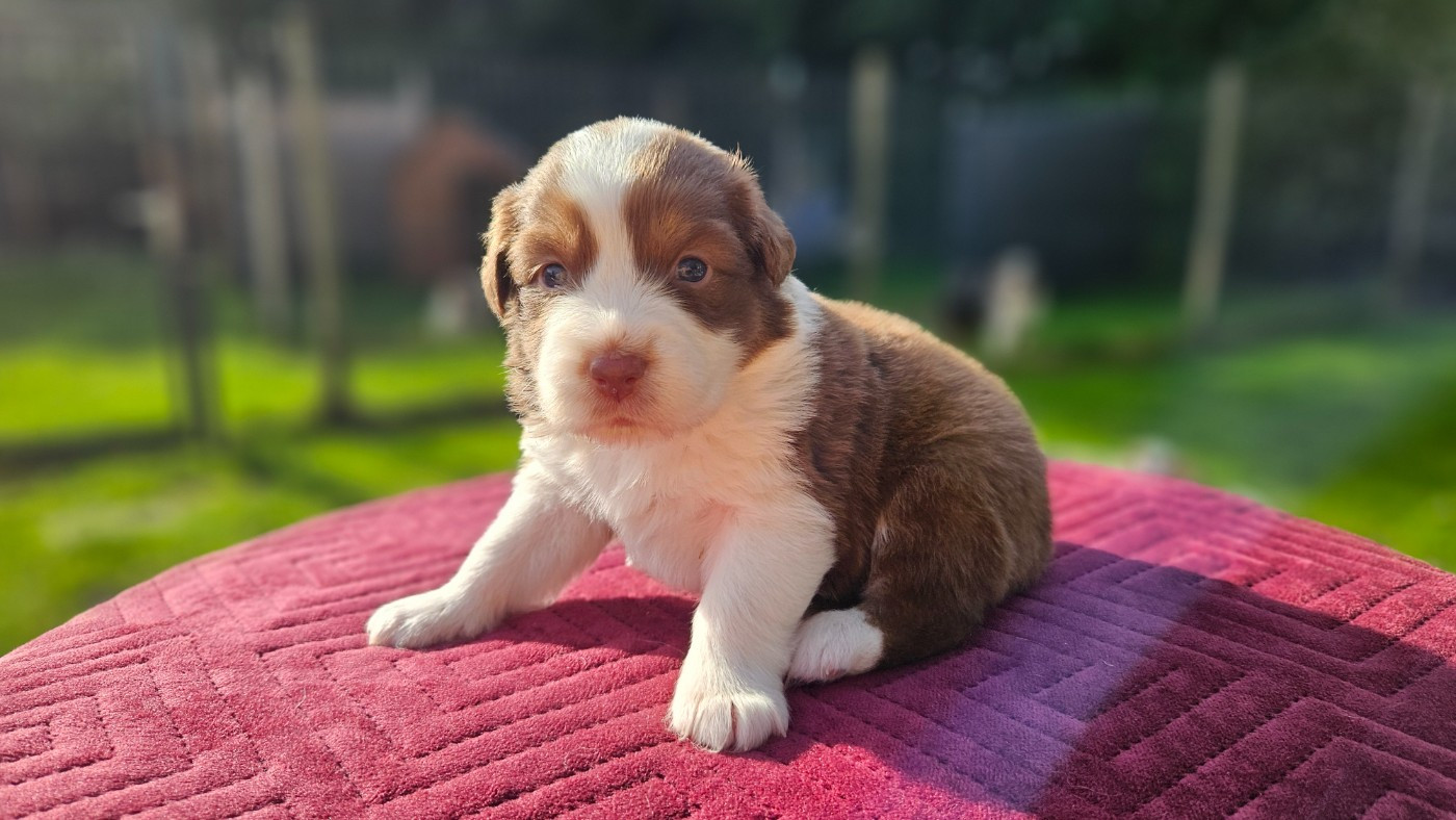 BEN QU'T'ES MIGNONNE TI