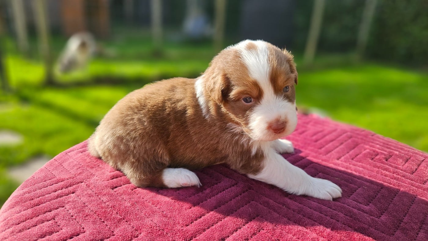BEN QU'T'ES MIGNONNE TI
