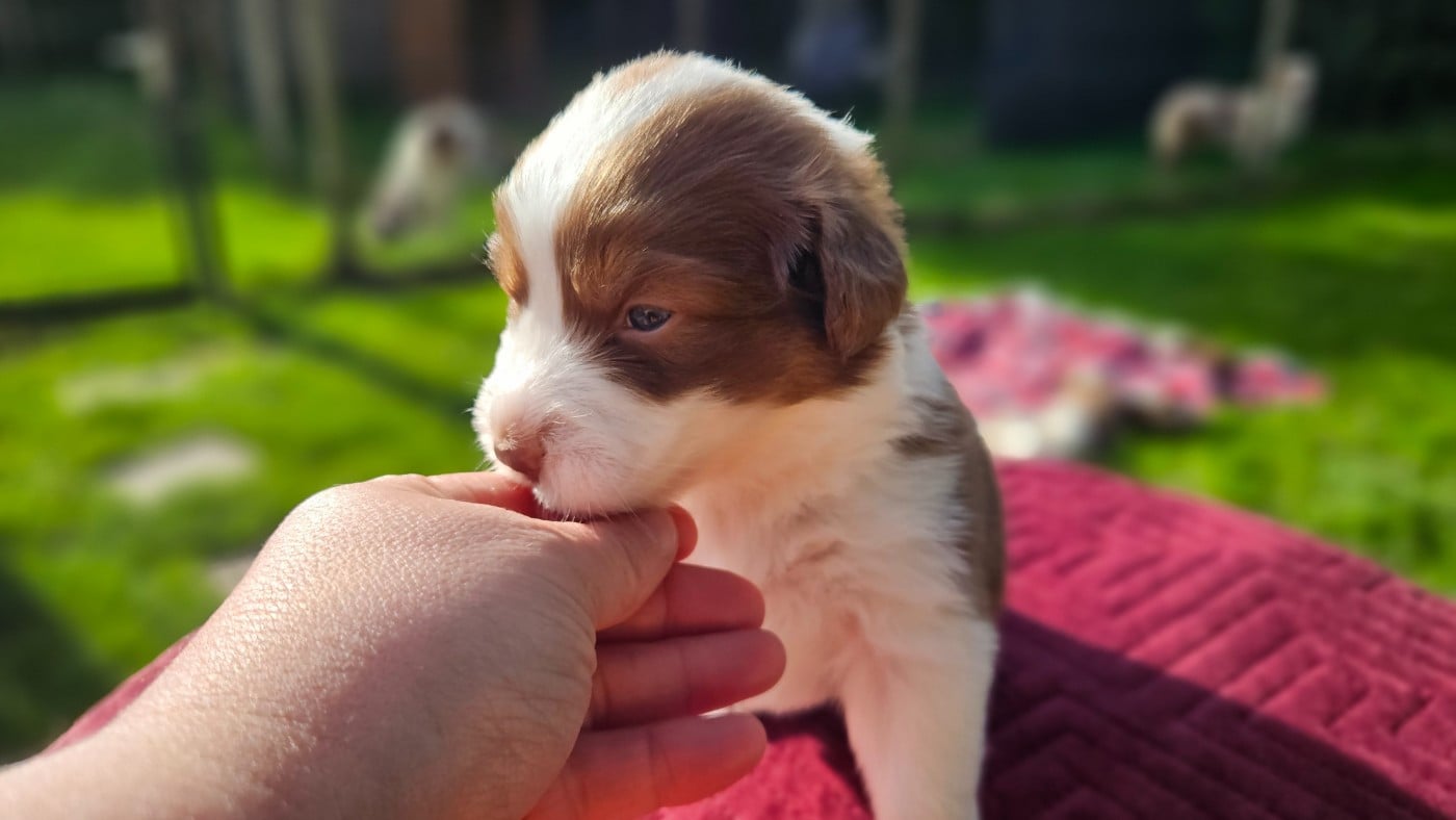 BEN QU'T'ES MIGNONNE TI